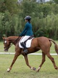 IMG_3181 IMG_3181