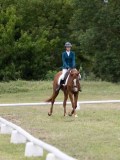 IMG_3182 IMG_3182