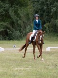IMG_3184 IMG_3184