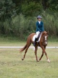 IMG_3185 IMG_3185