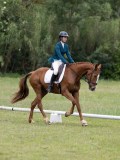 IMG_3188 IMG_3188
