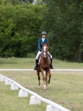 IMG_3190 IMG_3190