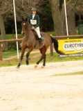 DSC07364 DSC07364