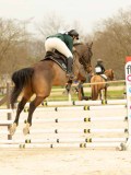 DSC07365 DSC07365