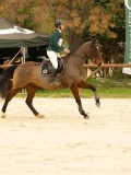 DSC07367 DSC07367