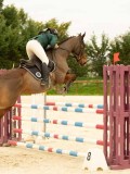 DSC07376 DSC07376