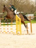 DSC07380 DSC07380