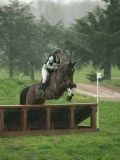 DSC08495 DSC08495