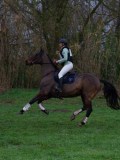 IMG_0850 IMG_0850