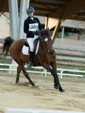 DSC07858 DSC07858