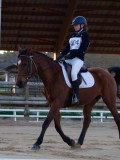 IMG_0013 IMG_0013