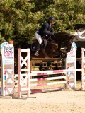 DSC00433 DSC00433