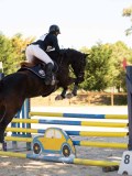 DSC00443 DSC00443