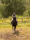 DSC04431 DSC04431