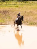 DSC04433 DSC04433