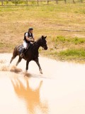 DSC04434 DSC04434