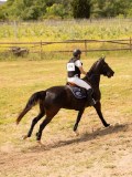 DSC04436 DSC04436