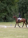 IMG_3205 IMG_3205