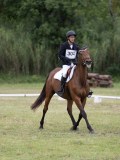 IMG_3210 IMG_3210