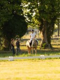 DSC08749 DSC08749