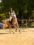 DSC09423 DSC09423