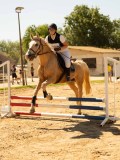DSC09429 DSC09429