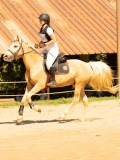 DSC09434 DSC09434