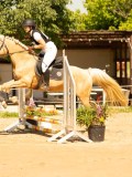 DSC09435 DSC09435