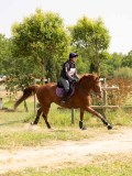 DSC00578