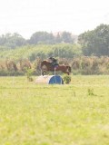 DSC00588
