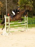 DSC07245 DSC07245