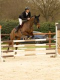 DSC07250 DSC07250