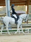 DSC07877 DSC07877