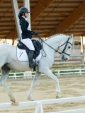 DSC07885 DSC07885