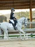 DSC07895 DSC07895