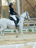 DSC07900 DSC07900