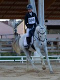 IMG_0068 IMG_0068