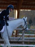 IMG_0090 IMG_0090