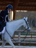 IMG_0091 IMG_0091