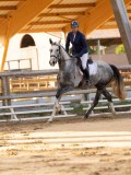 DSC02358 DSC02358