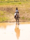 DSC04377 DSC04377