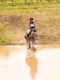DSC04378 DSC04378