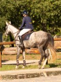 DSC09543 DSC09543