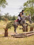 IMG_9690 IMG_9690