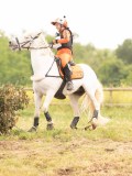 DSC09243 DSC09243