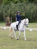 IMG_3223 IMG_3223
