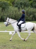 IMG_3226 IMG_3226
