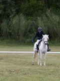 IMG_3241