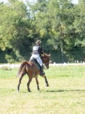 DSC08445 DSC08445
