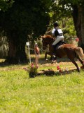 DSC01103 DSC01103